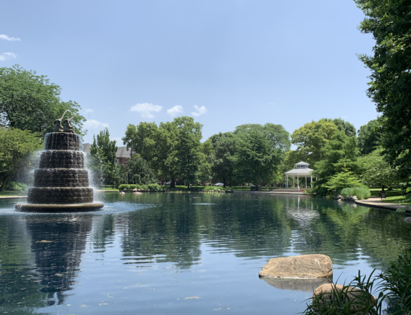 This is a picture of the pond at Goodale Park in Columbus Ohio in the summer.