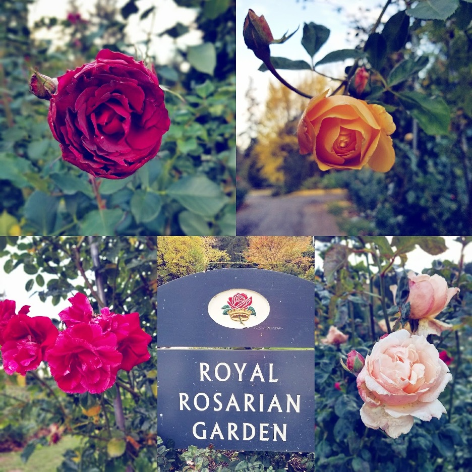 Flowers at the Royal Rosarian Garden in Oregon.